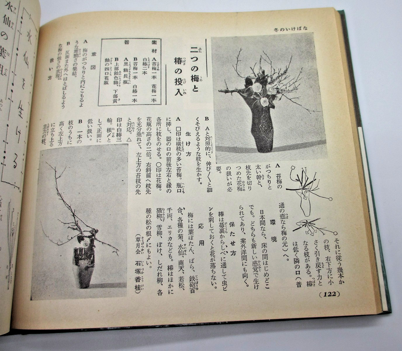 Ikebana Autumn/Winter Book 1957 Shufunotomo Series 34