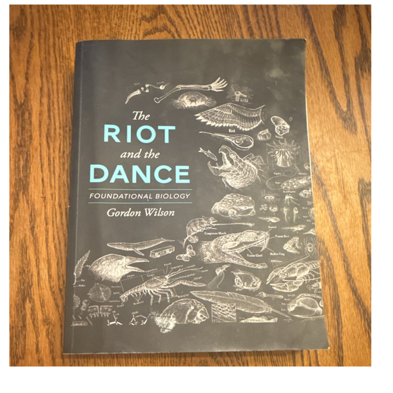 Canon Press The Riot and the Dance: Foundational Biology Gordon Wilson Paperback