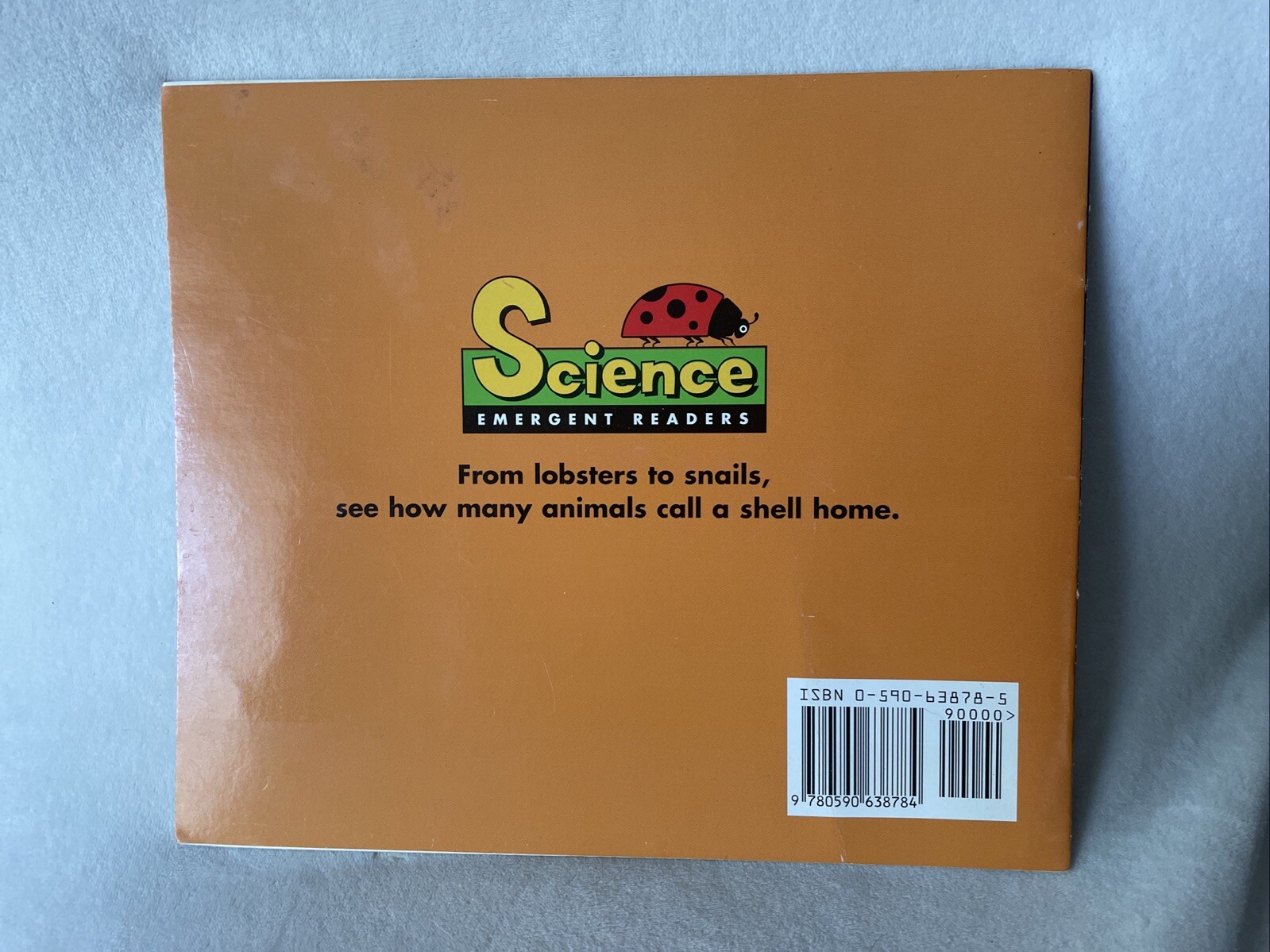 What Comes In A Shell (Science Emergent Reader) (Science Emergent R