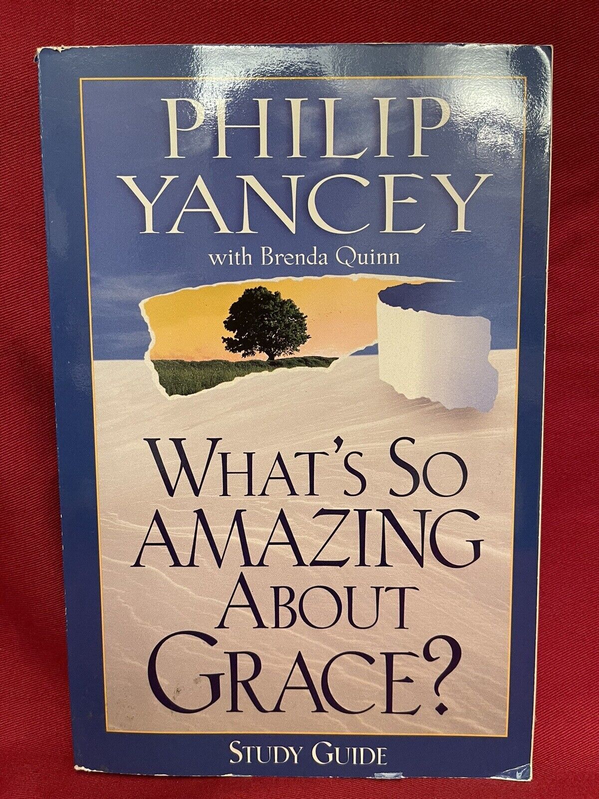 Philip Yancey With Brenda Quinn Whats So Amazing About Grace Study Guide 1998