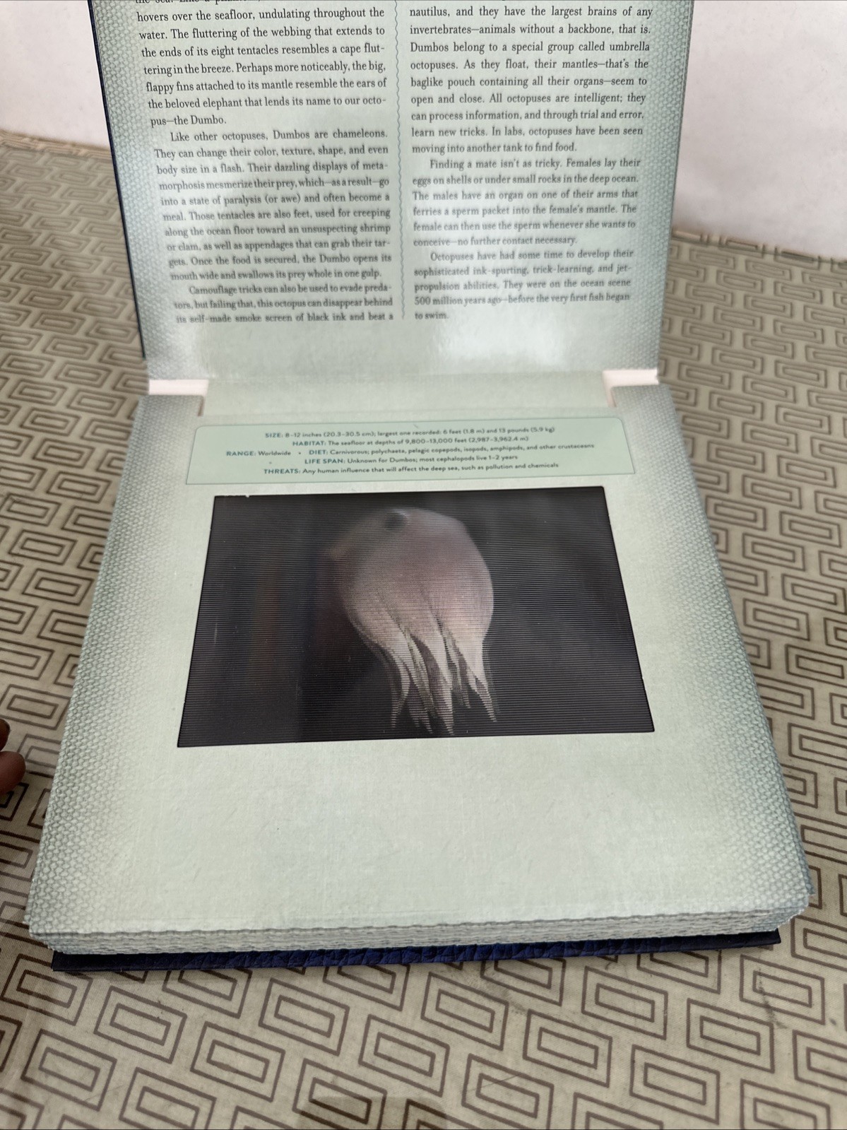 A Photicular Book by Carol Kaufmann and Dan Kainen (2012, Hardcover) Safari2 Mor