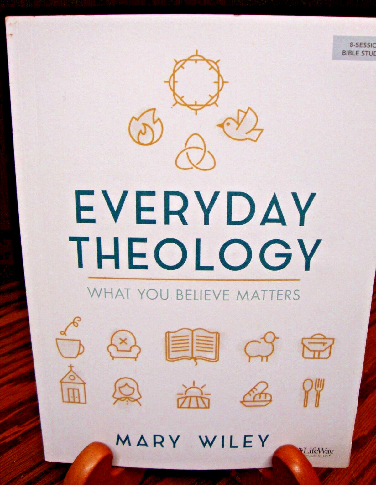 Everyday Theology~Bible Study Book: What You Believe Matters by Mary Wiley Z20