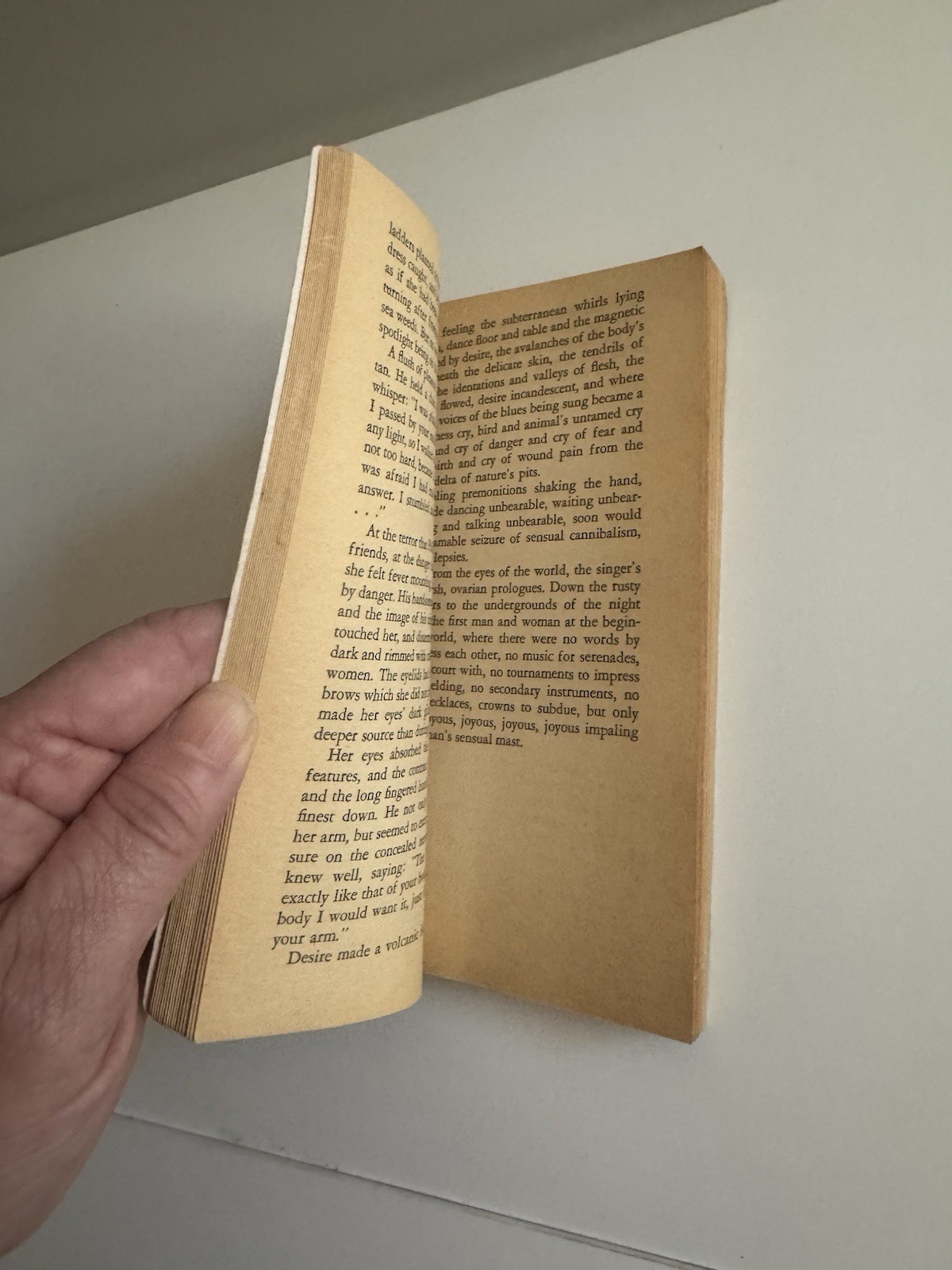 A Spy in the House of Love Anaïs Nin 1974 Bantam Vintage PB Literary Fic Classic