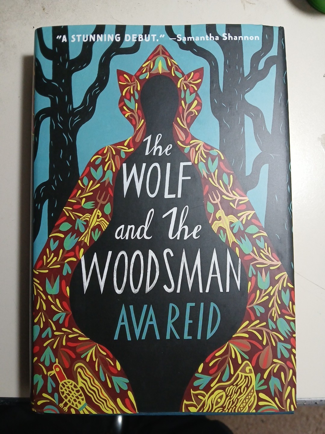 Wolf and the Woodsman : A Novel by Ava Reid (2021, Hardcover)