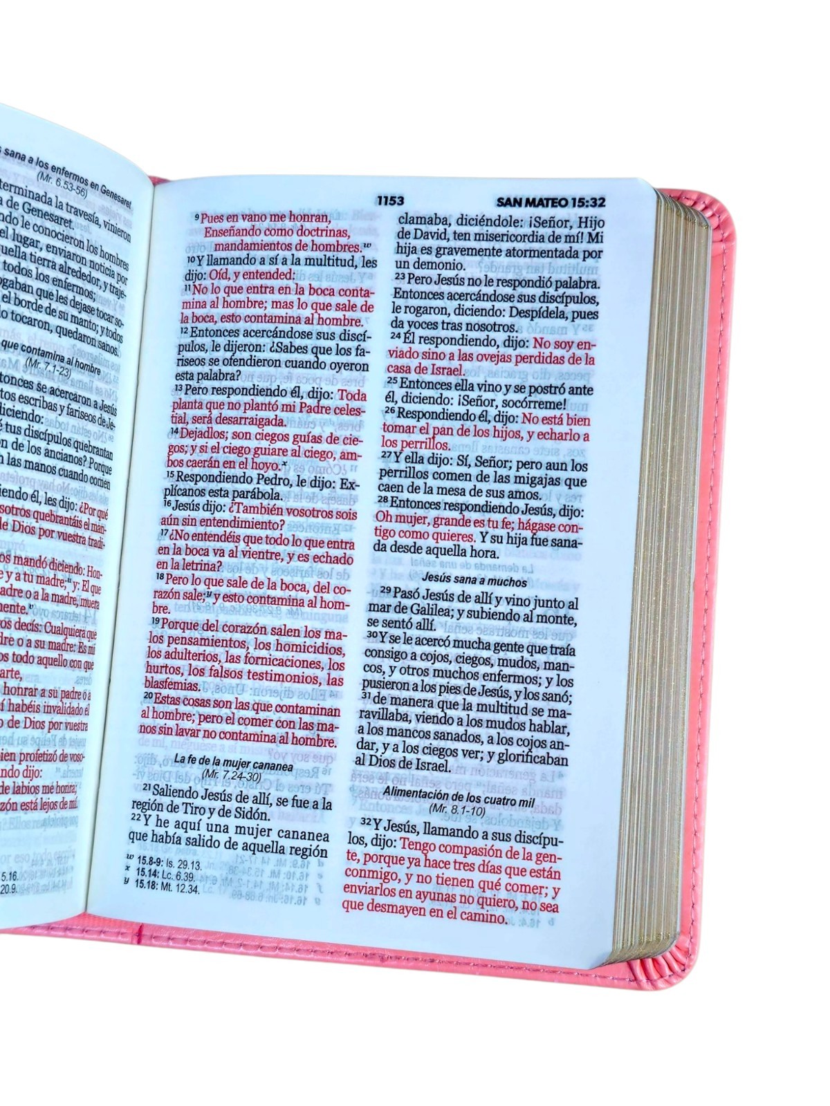 Biblia de Bolsillo RV1960 imit piel rosa