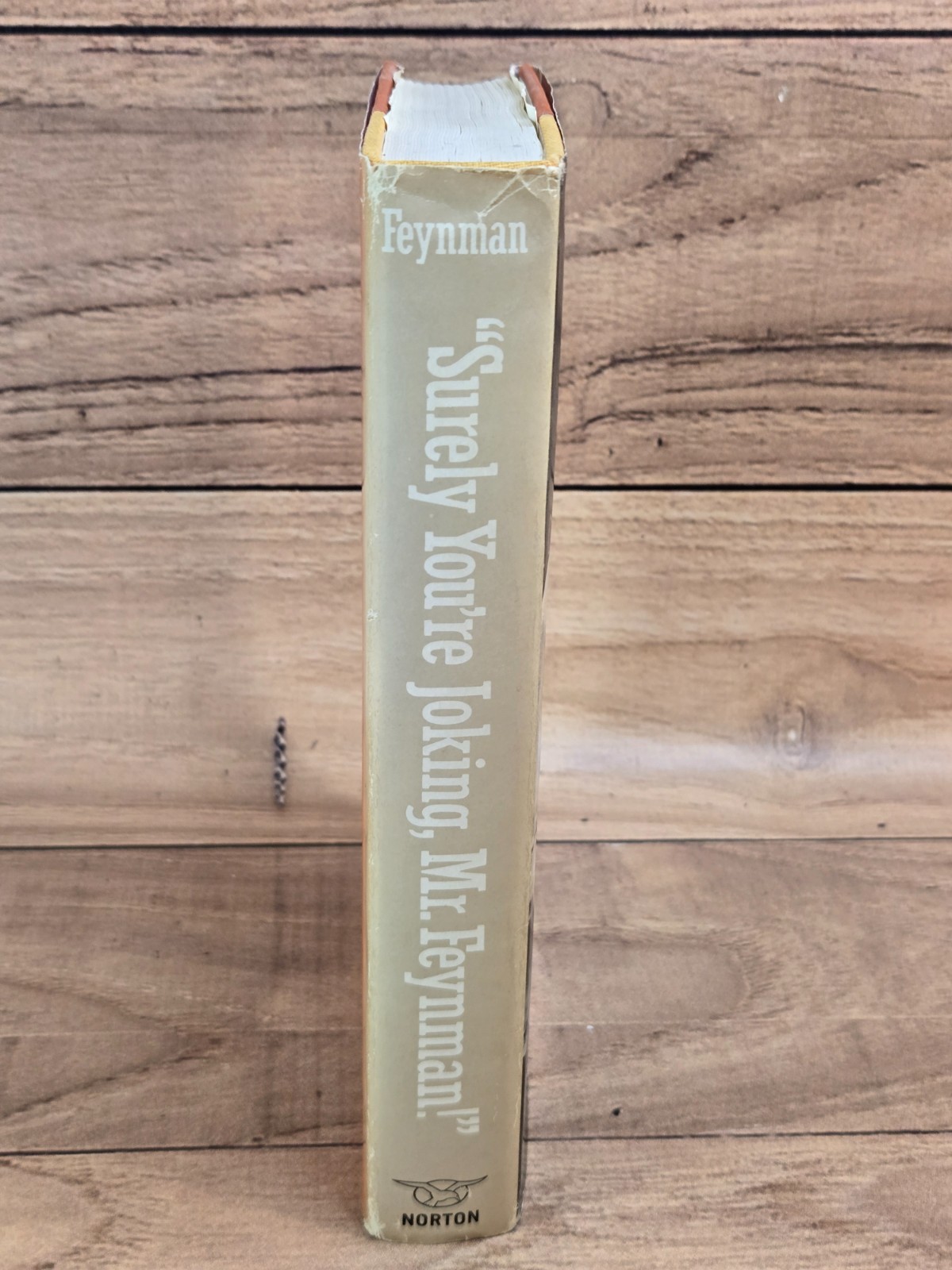 Vtg “SURELY YOU’RE JOKING, MR. FEYNMAN!” Richard Feynman 1985 HC/DJ Norton & Co.