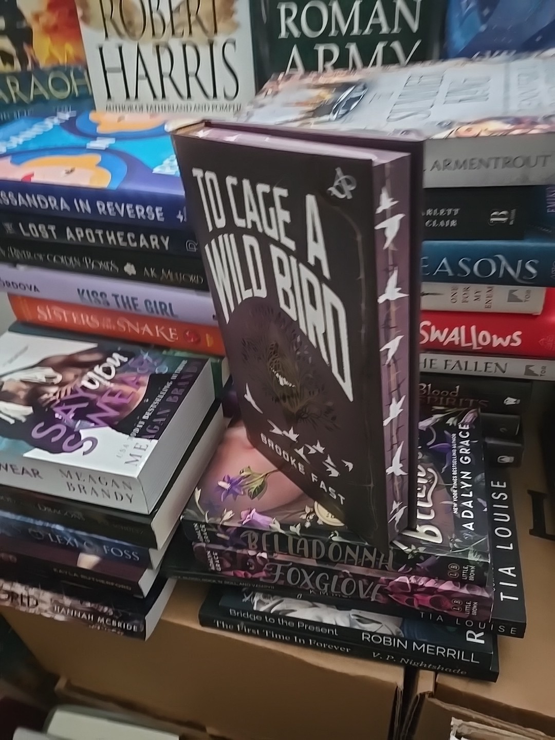 Exclusive adult dark fantasy Dystopian to cage a wild bird sprayed edges oop