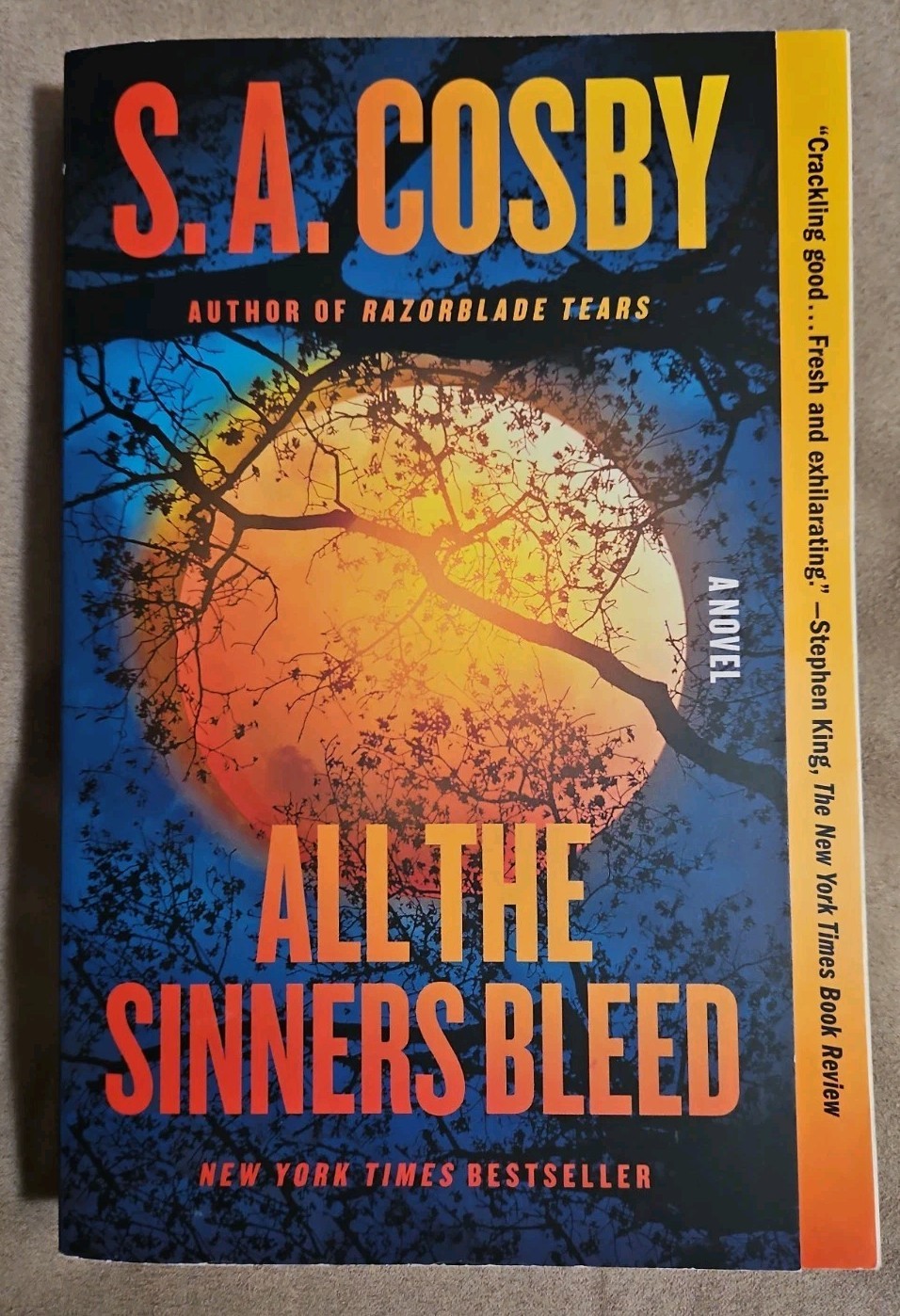 All The Sinners Bleed: A Novel by S. A. Cosby Paperback Southern Gothic Virginia