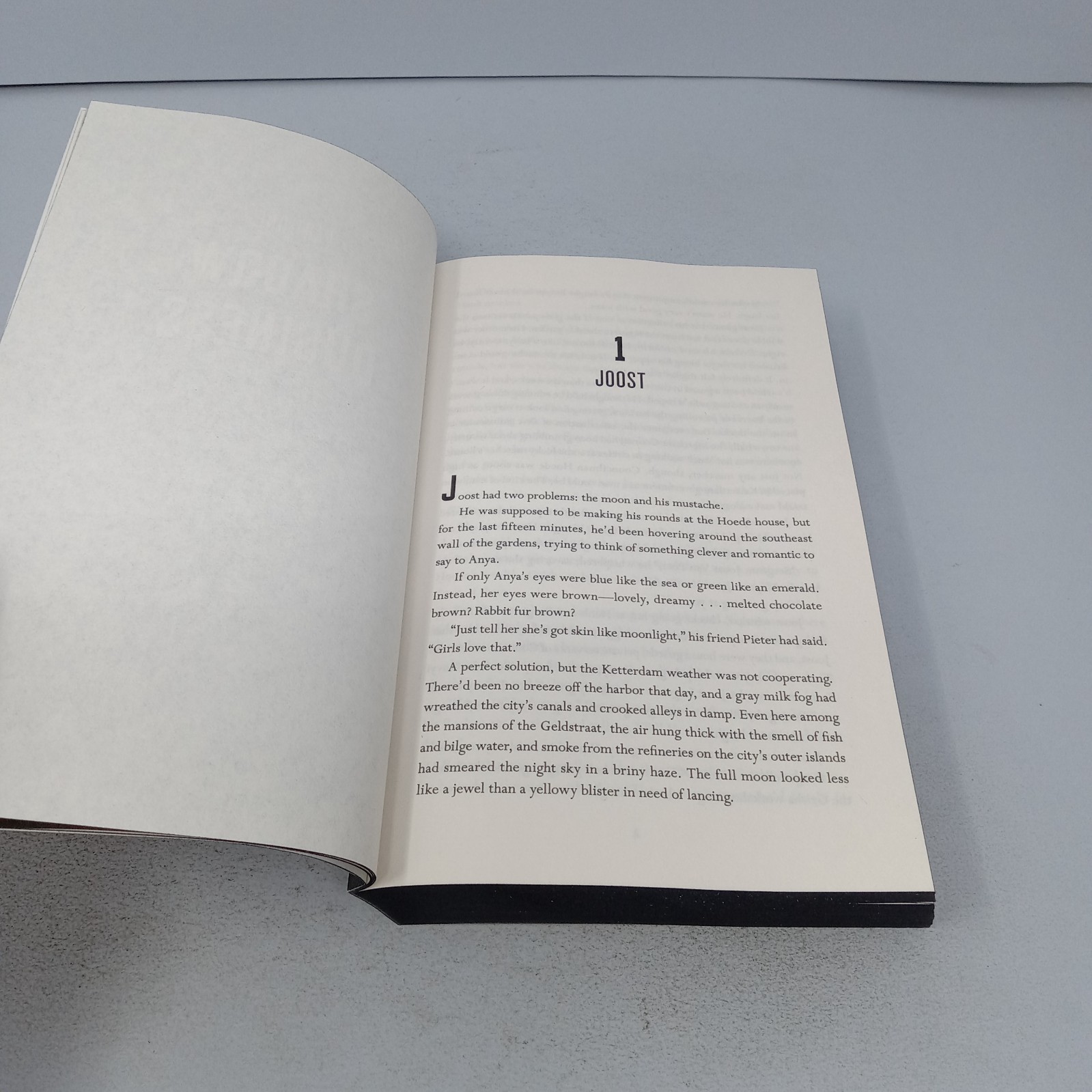 Six of Crows: 2025 Henry Holt and Company Paperback by Leigh Bardugo
