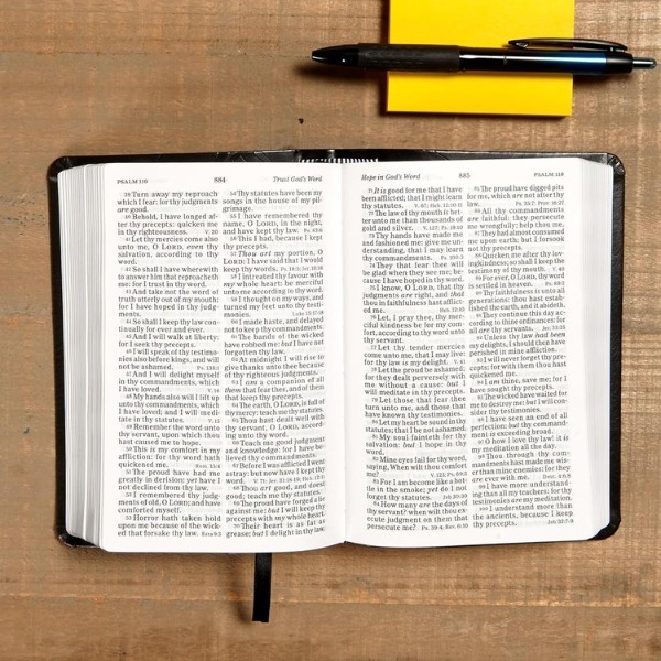 KJV Holy Bible Large Print LeatherTouch Red Letter King James w/ Bible Tabs Gift