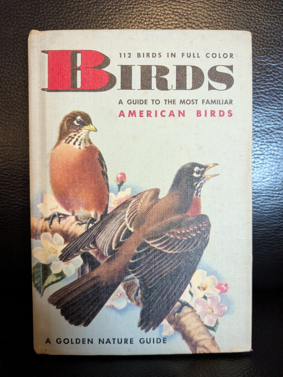 Golden Nature Guide BIRDS Hardcover 1949 Herbert Zim Vintage Rare Illustrated