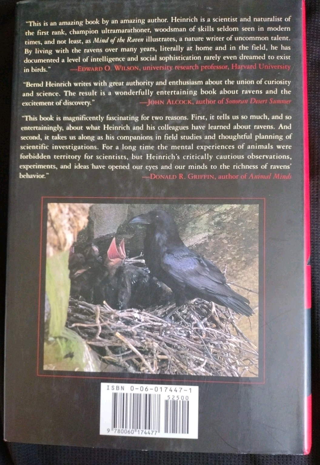 Mind of the Raven by Bernd Heinrich. Hard back with dust jacket