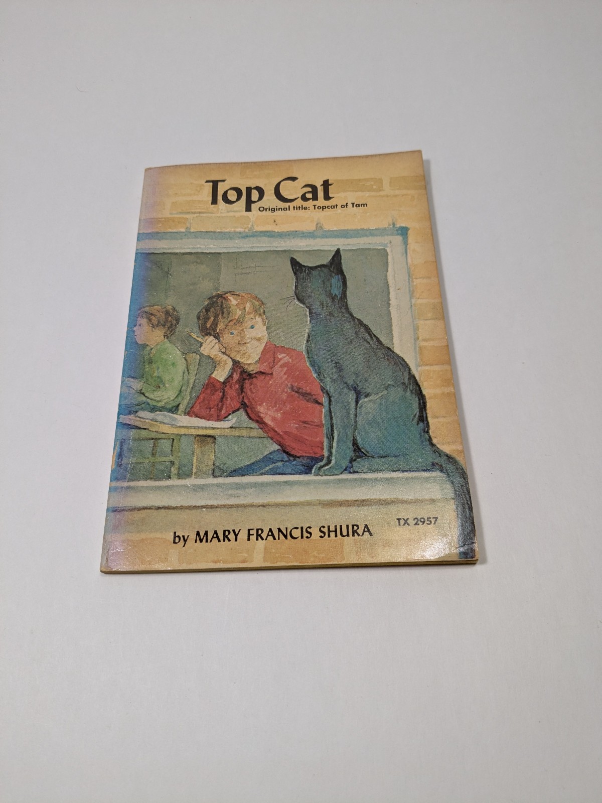 Top Cat by Mary Francis Shura Vintage Paperback Book Children’s Illustrated