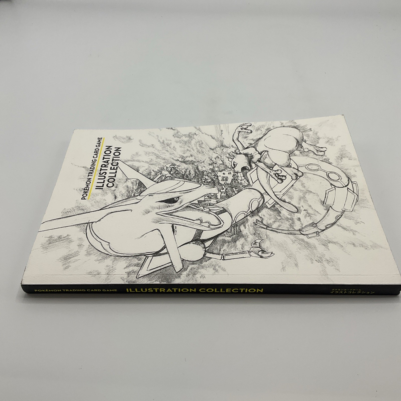 Pokemon Trading Card Game Illustration Collection Art Book (2016 Paperback)