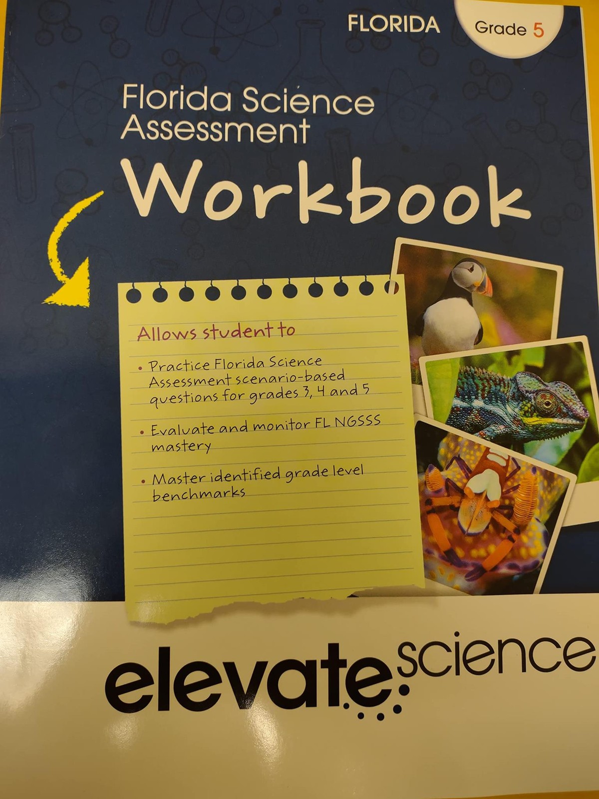 Florida Science Assessment Workbook Elevate Science Grade 5 [Paperback] Savvas C