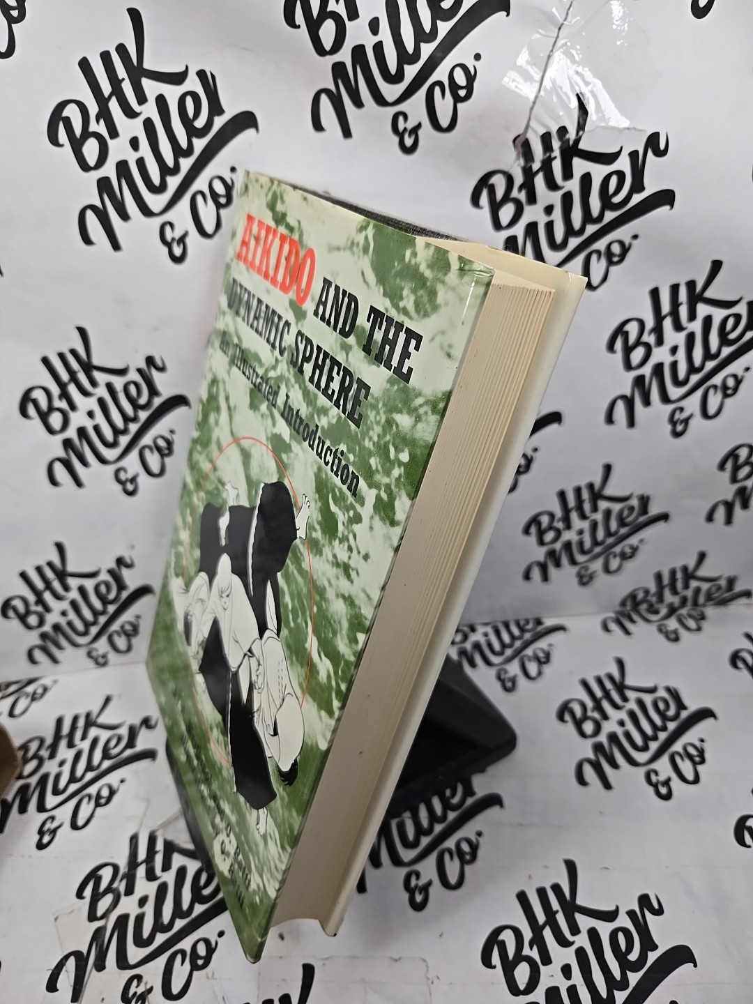 Aikido and the Dynamic Sphere: An Illustrated Introduction