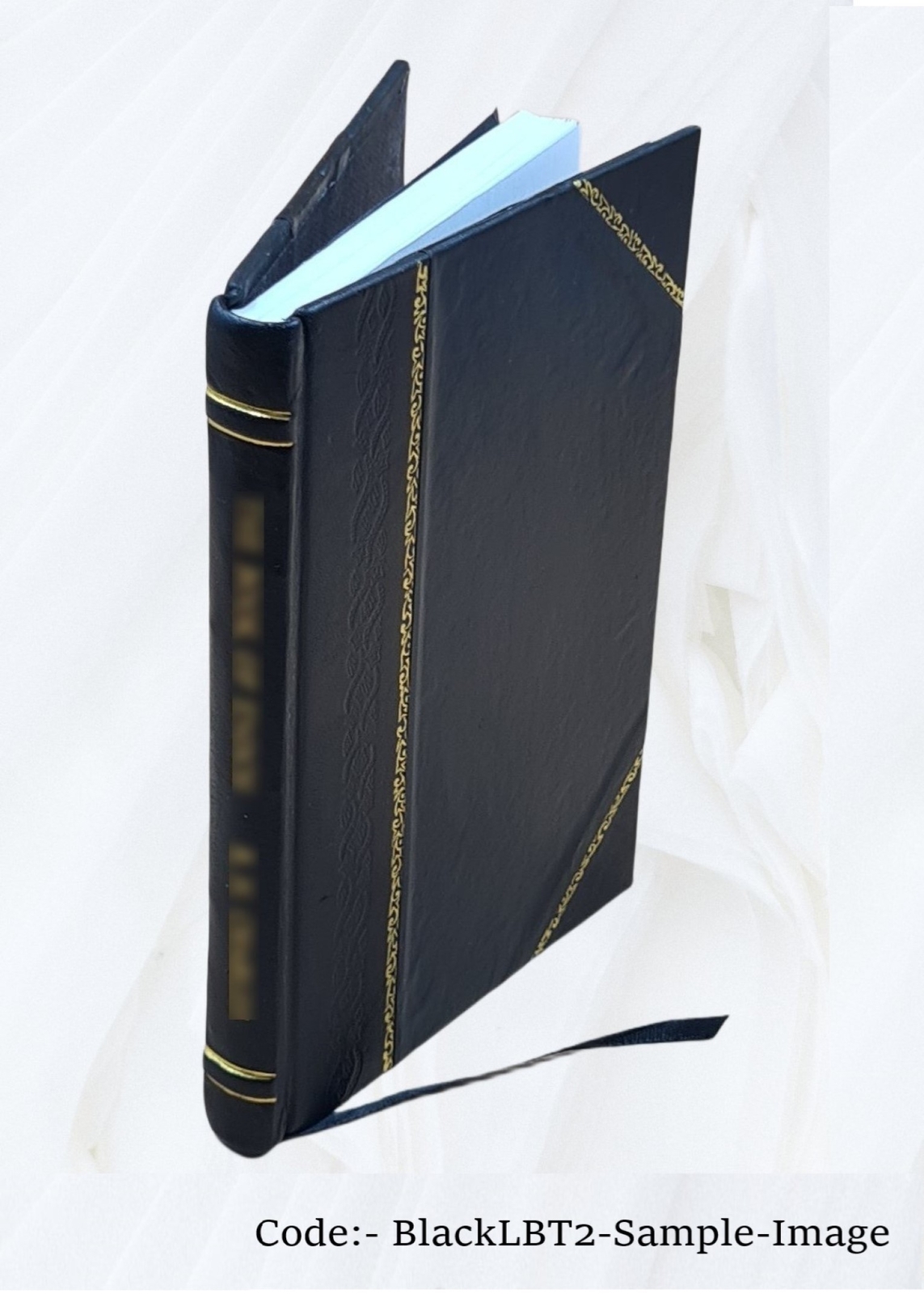 Plain Concise Practical Remarks On The Treatment Of Wounds And F [Leather Bound]