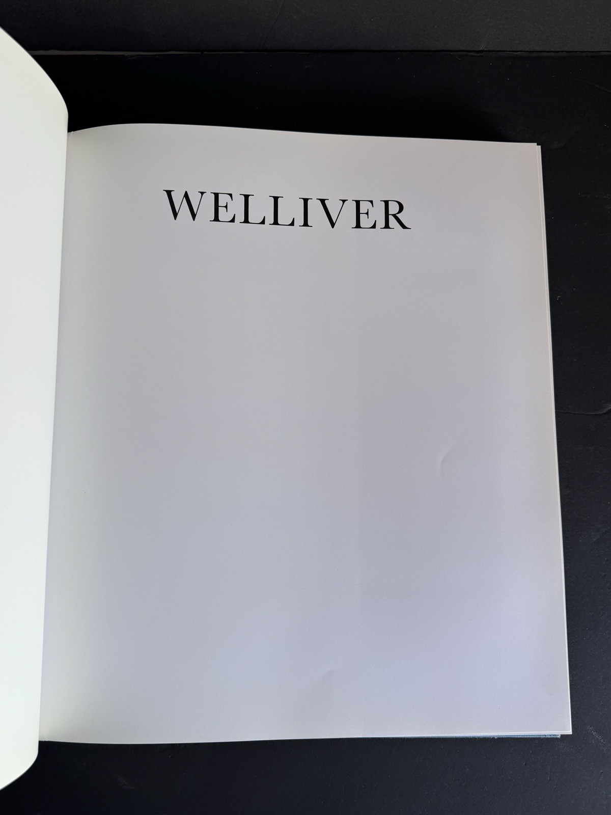 Neil Welliver Art Monograph Hardcover 1985 Rizzoli w/ Dust Jacket Large Format
