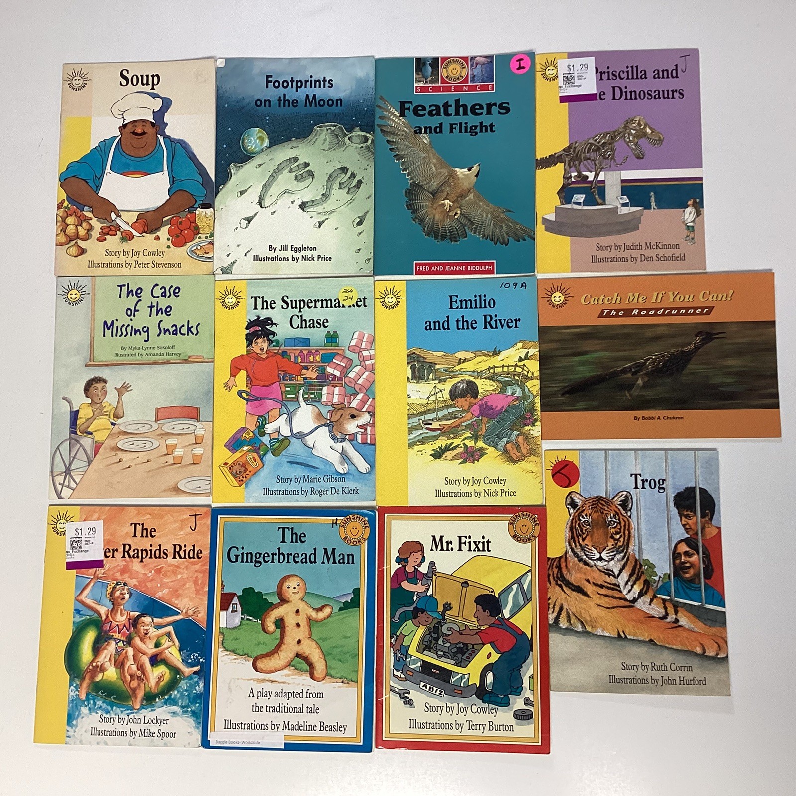 Sunshine Reader 1st Grade 12 Book Lot Level D-I Rigby Wright