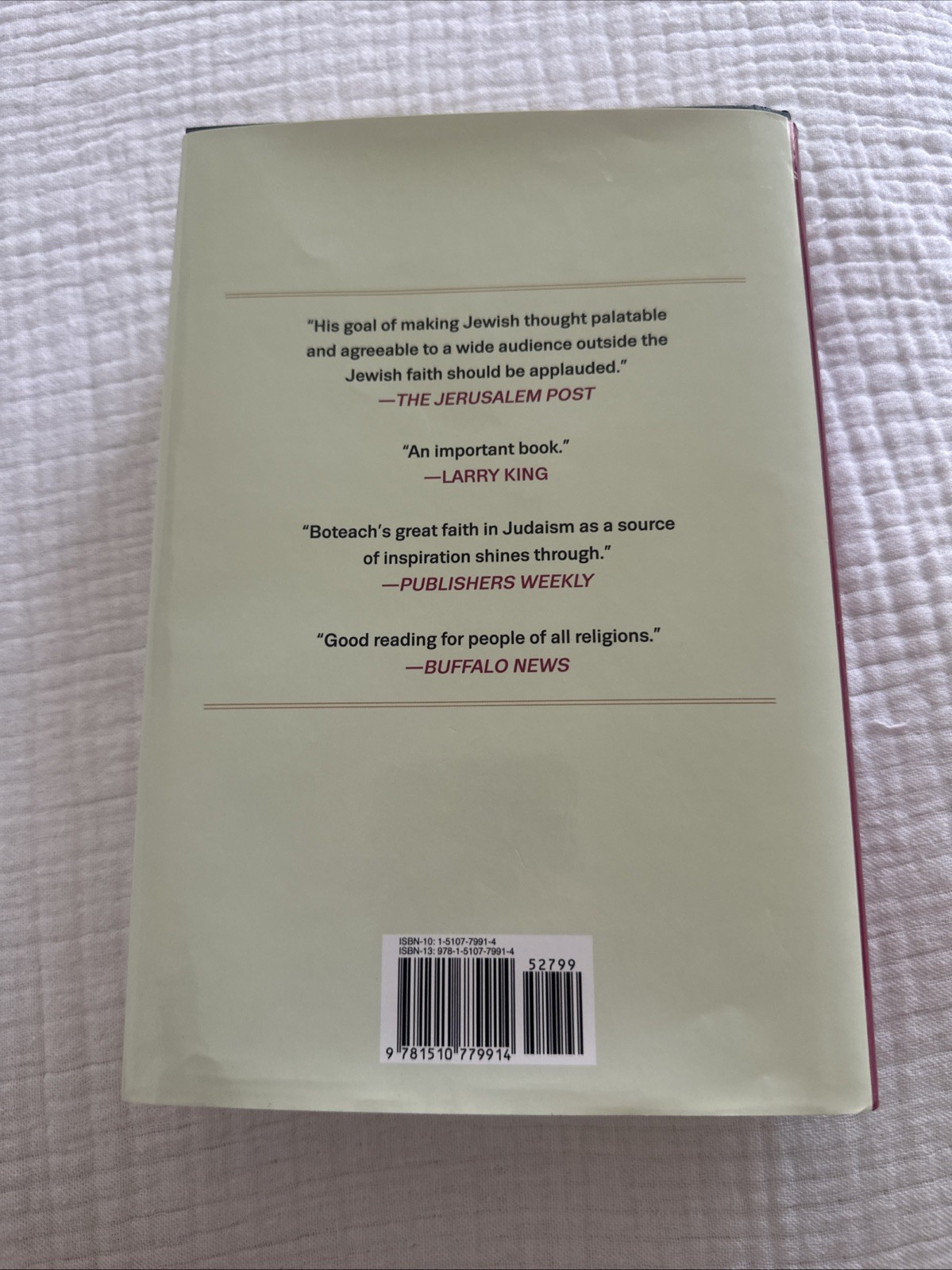 Judaism for Everyone: Renewing Your Life Through the Vibrant Lessons of the Jewi