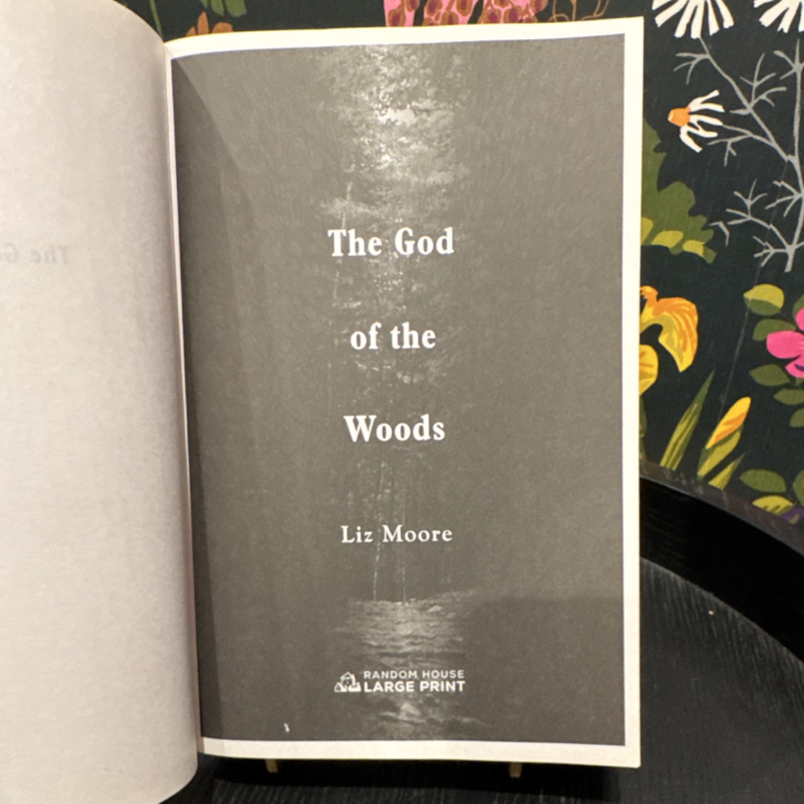 Liz Moore The God of the Woods Large Print Novel 2024 Random House Fiction