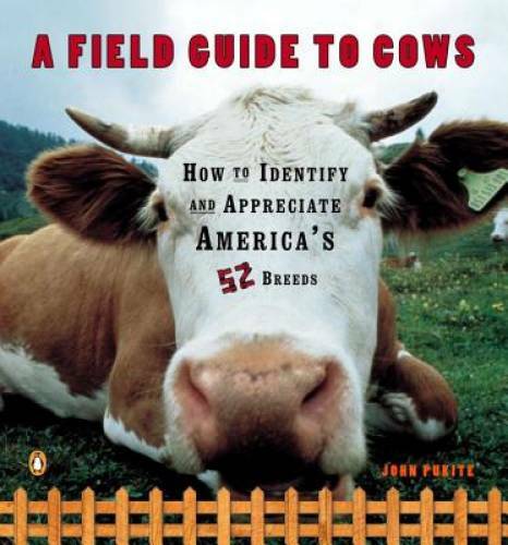 A Field Guide to Cows: How to Identify and Appreciate America’s 52 Breeds – GOOD