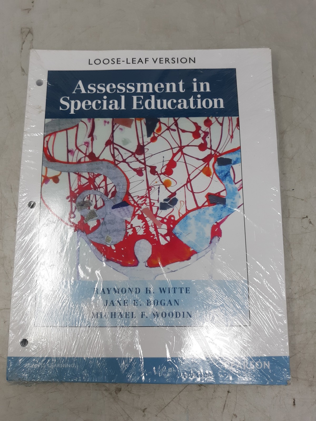 Assessment in Special Education Loose-Leaf Textbook by Witte, Bogan, Woodin