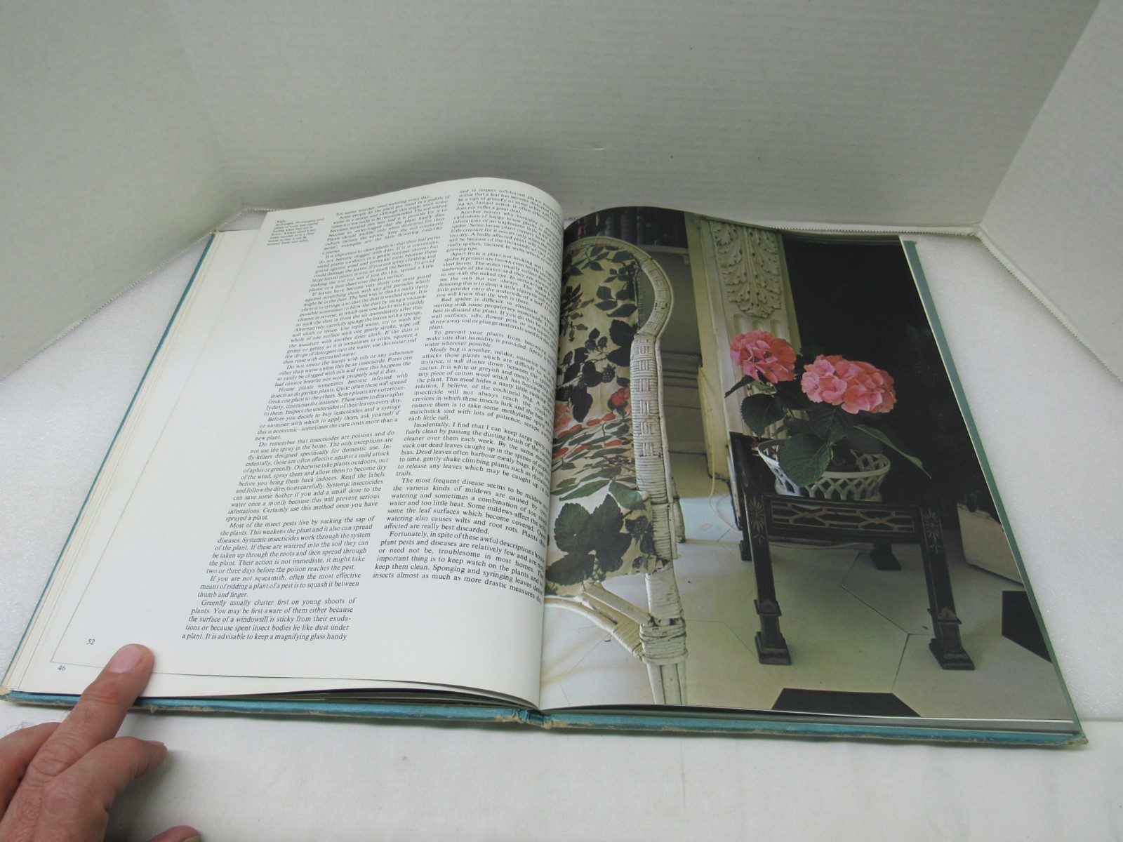 Plants & Flowers In The Home Violet Stevenson Longmeadow Press 1975 Hardcover