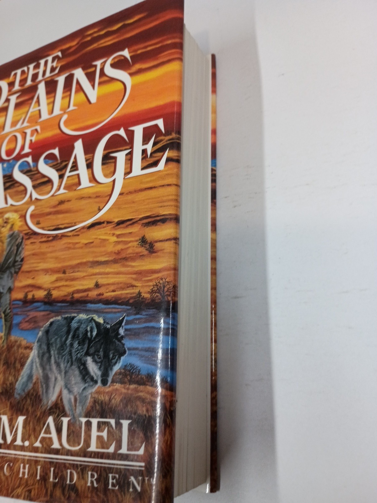 Earth’s Children Ser.: The Plains of Passage by Jean M. Auel (1990, Hardcover)
