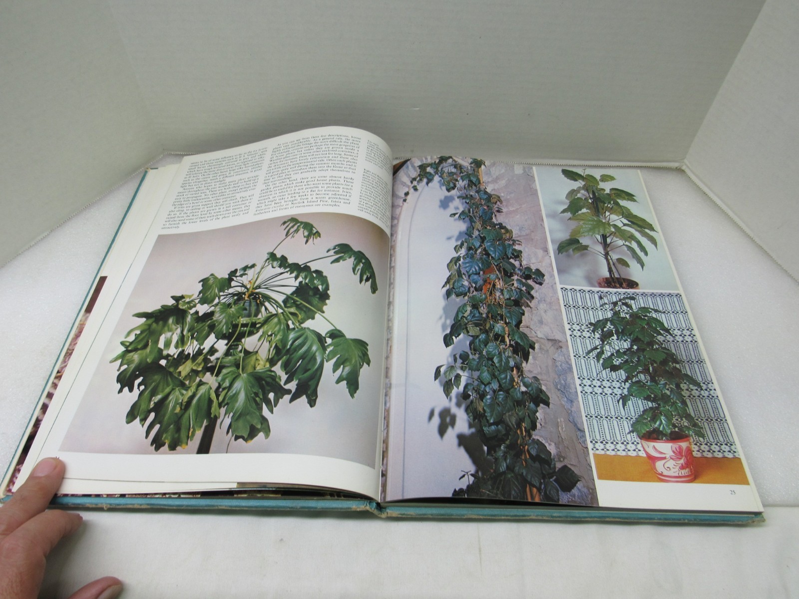 Plants & Flowers In The Home Violet Stevenson Longmeadow Press 1975 Hardcover