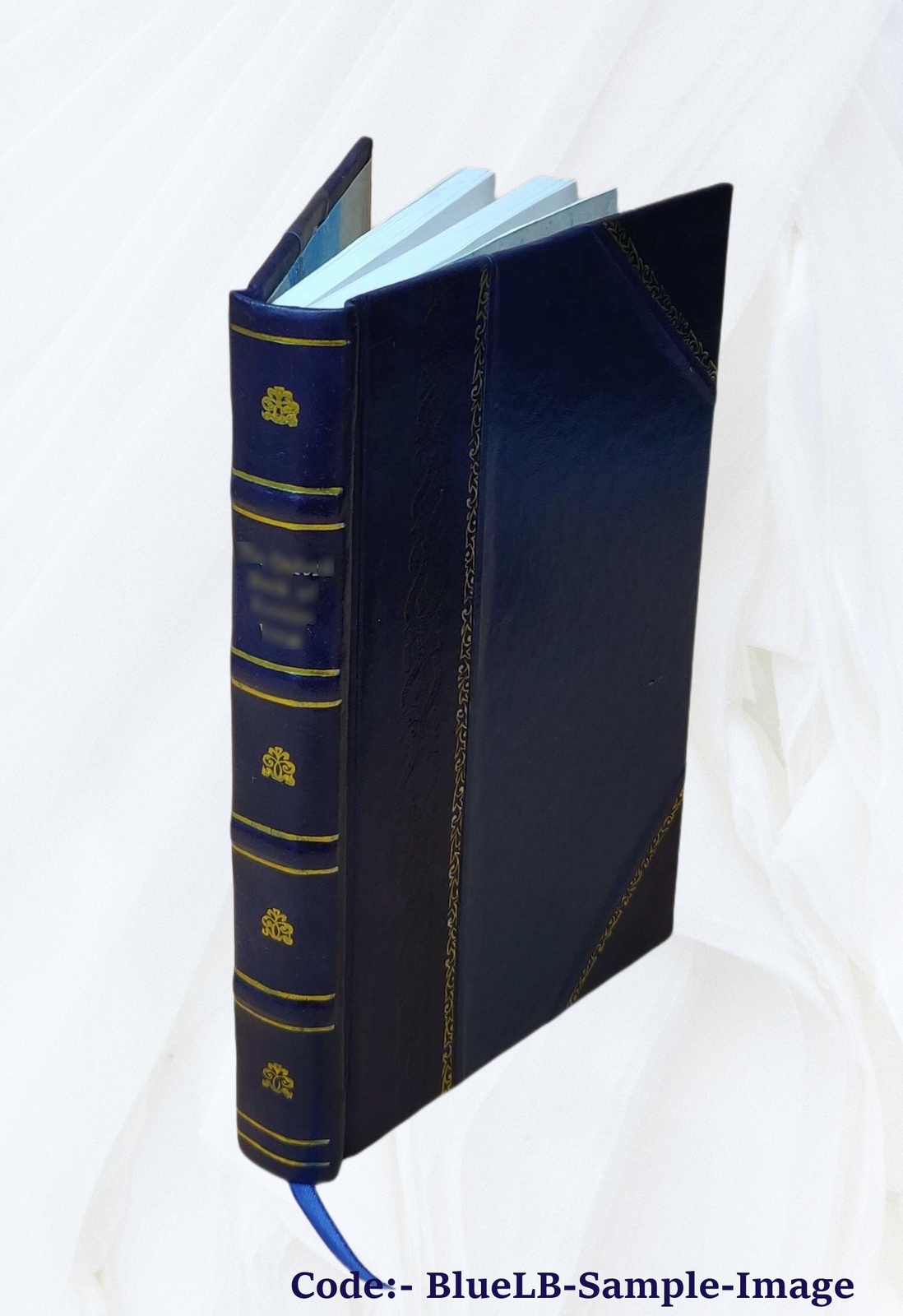 Gazetteers Of Dera Ghazi Khan District, Revised Edition 1893-97 [Leather Bound]