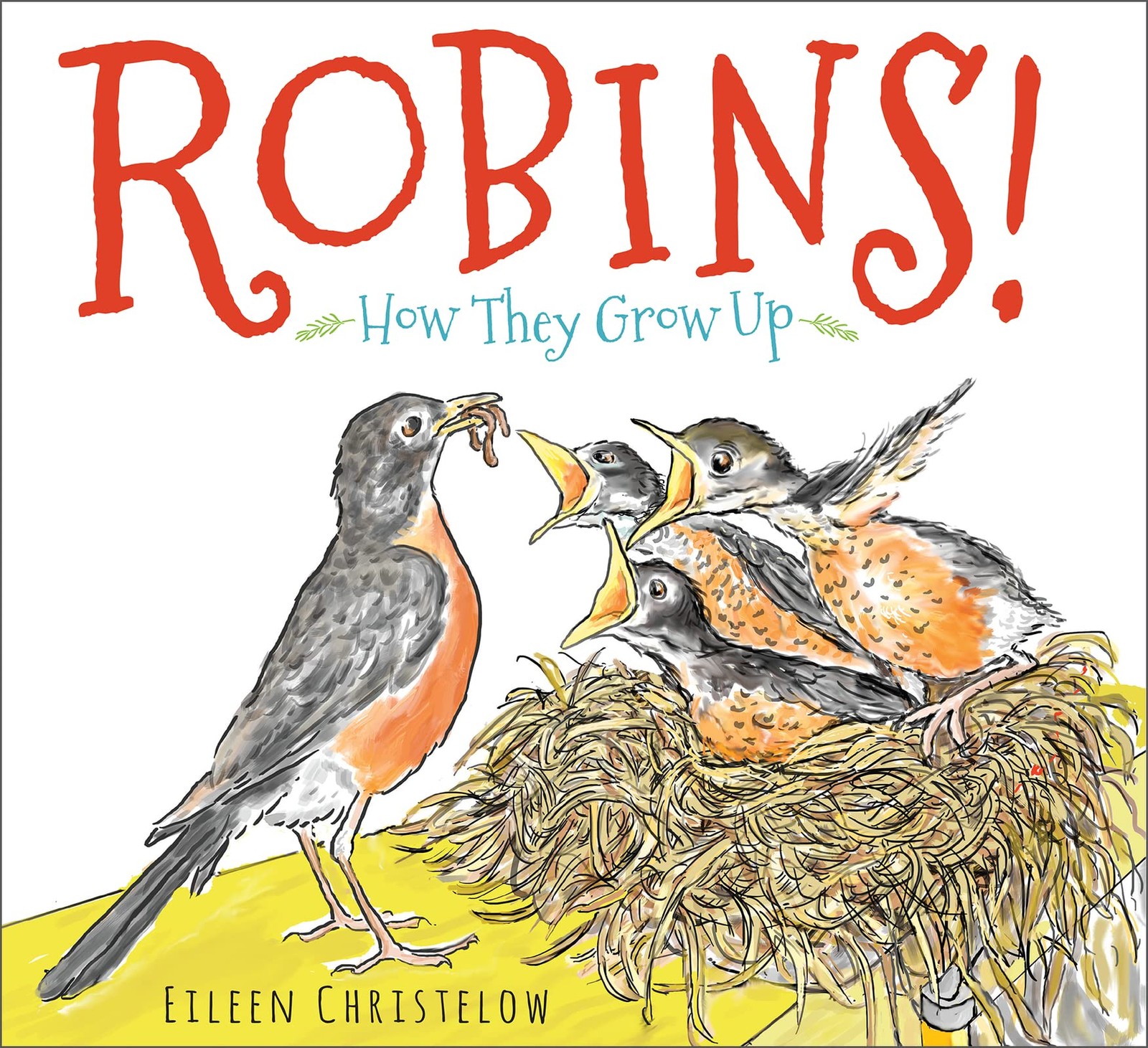 Robins!: How They Grow Up – Christelow, Eileen – Good – See condition notes