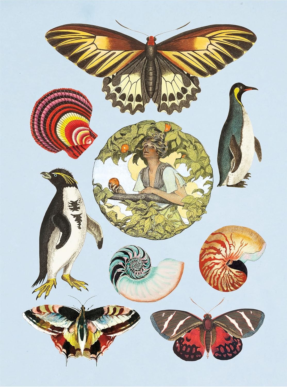 The Antiquarian Sticker Book: Over 1,000 Exquisite Victorian Stickers