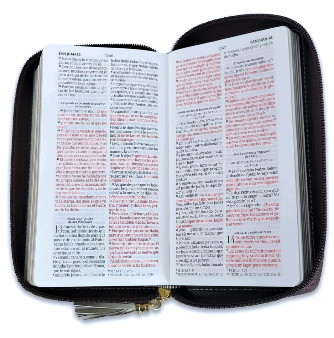 Biblia Chequera Letra 8.5 Puntos RVR.1960 Imitación Piel Crema Y Cafe Cierre