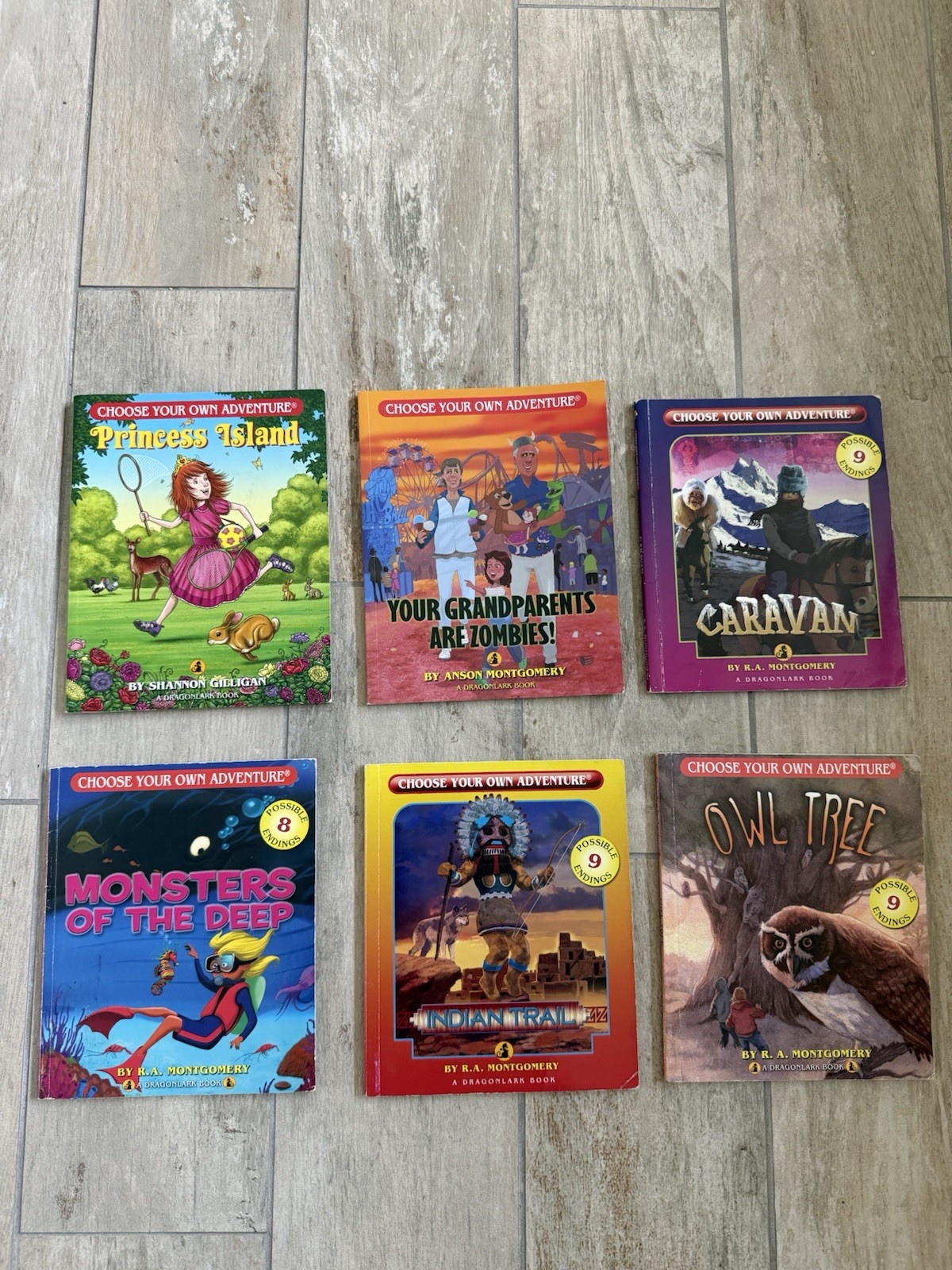 Choose Your Own Adventure For children. 6 Books Included. Ages 9-12 years.