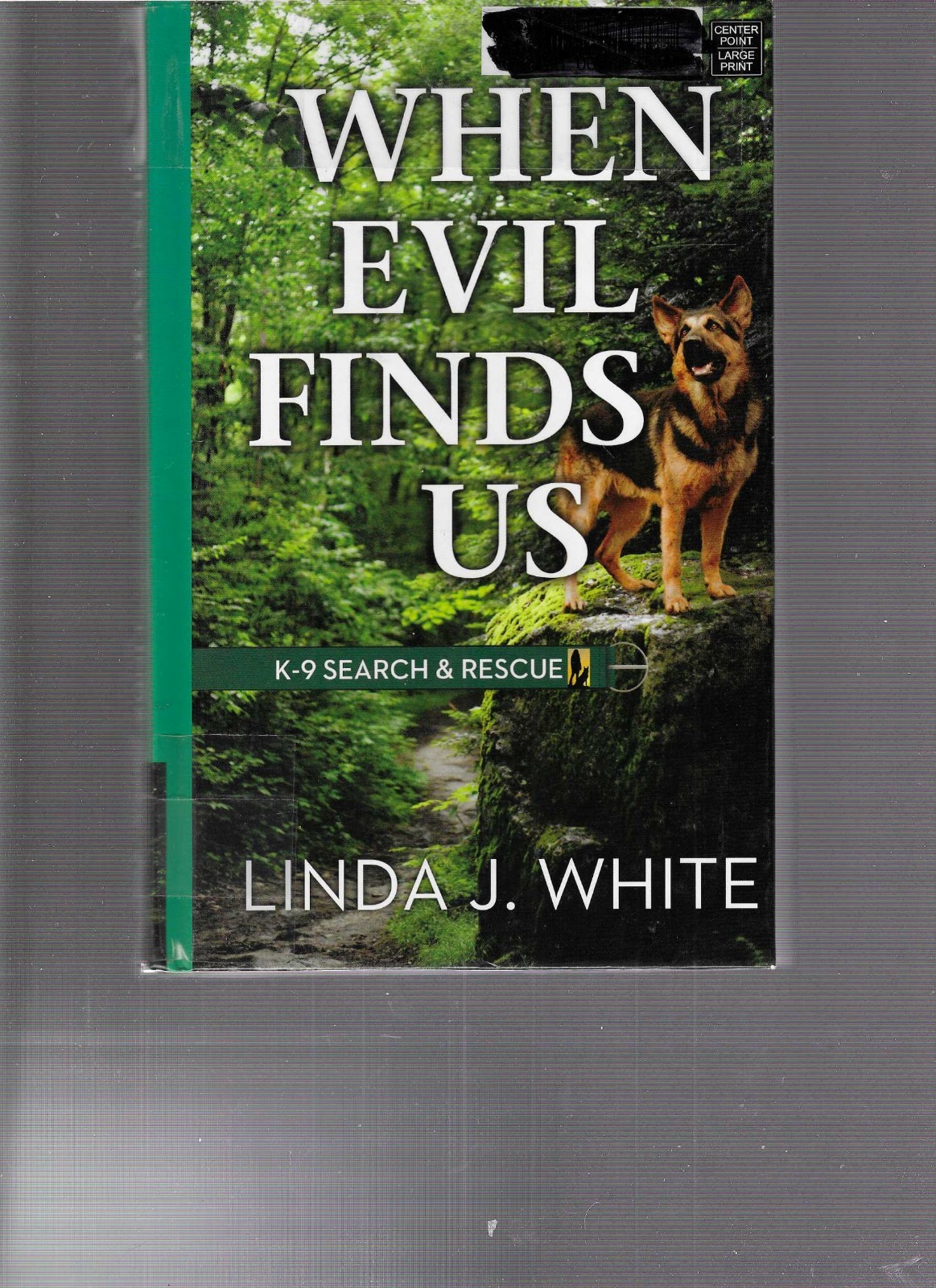 LINDA J. WHITE – WHEN EVIL FINDS US – LARGE PRINT – LP425