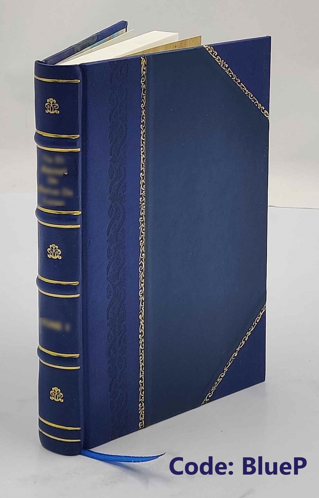 Einleitung in die Religionswissenschaft 1899 by Cornelis Petrus [Leather Bound]