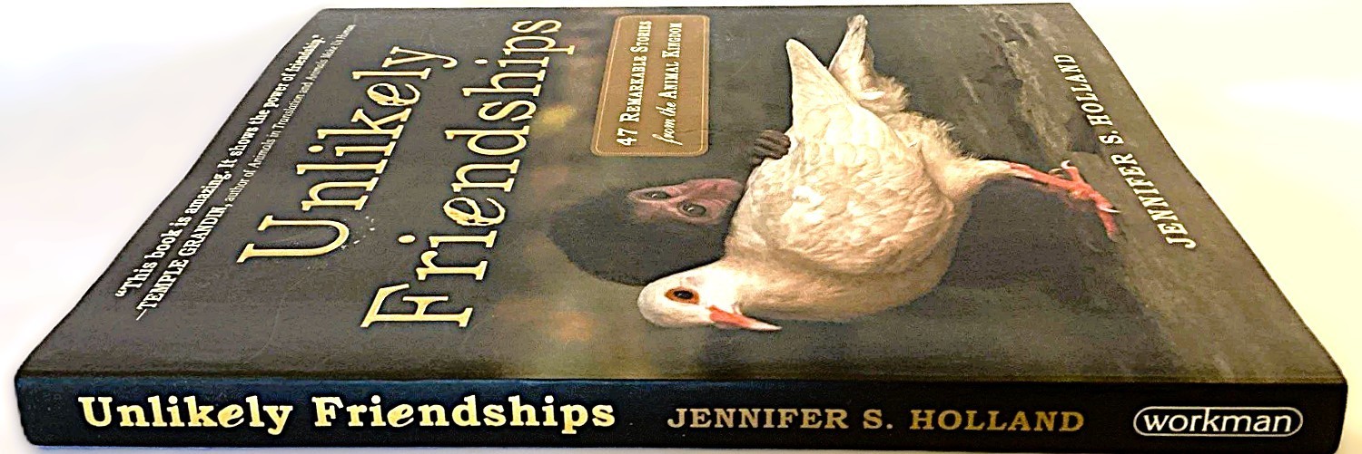 Unlikely Friendships Jennifer S. Holland BRAND NEW First Edition Softcover