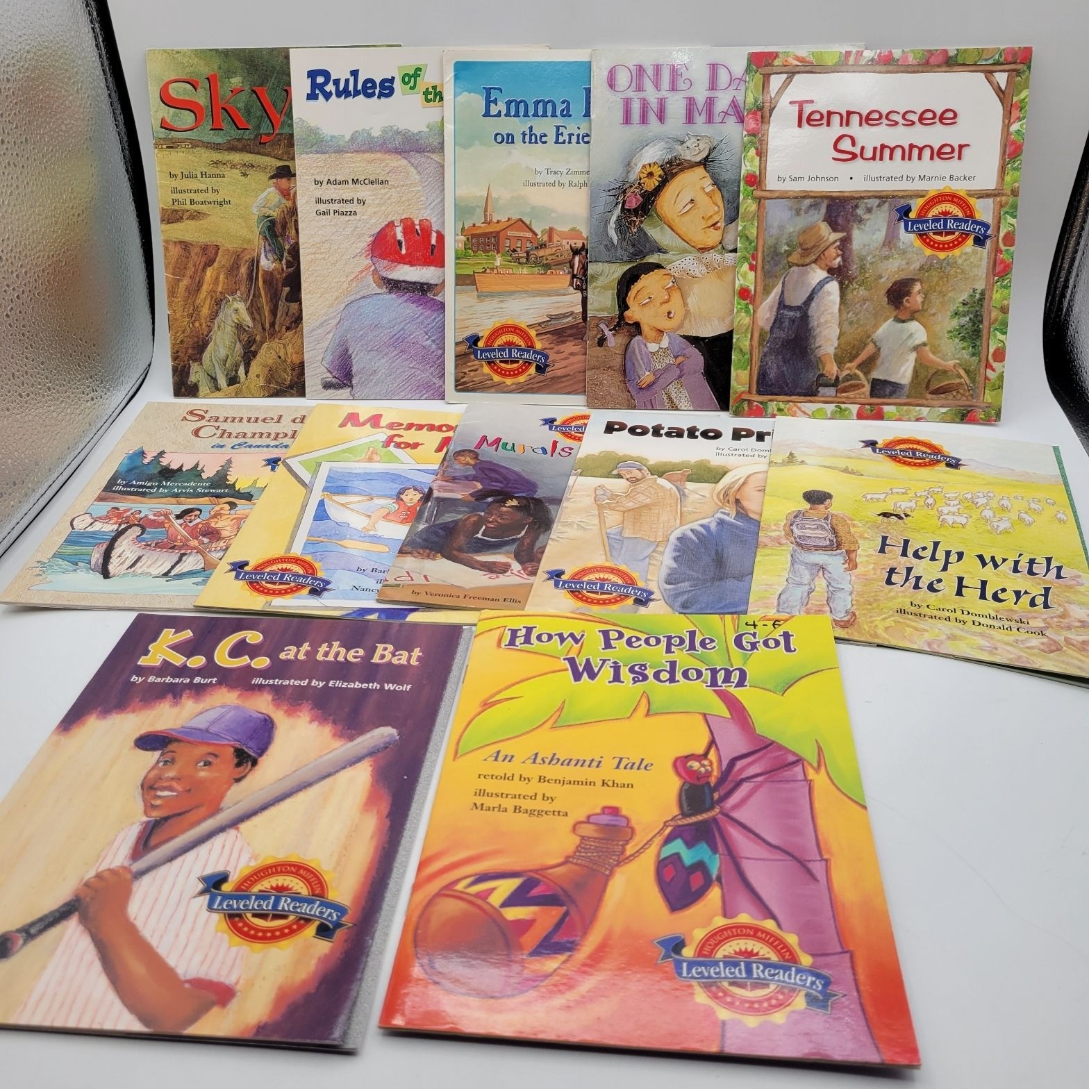 Houghton Mifflin Leveled Readers Huge Lot of 12 Booklet Books for Level 4 BK309