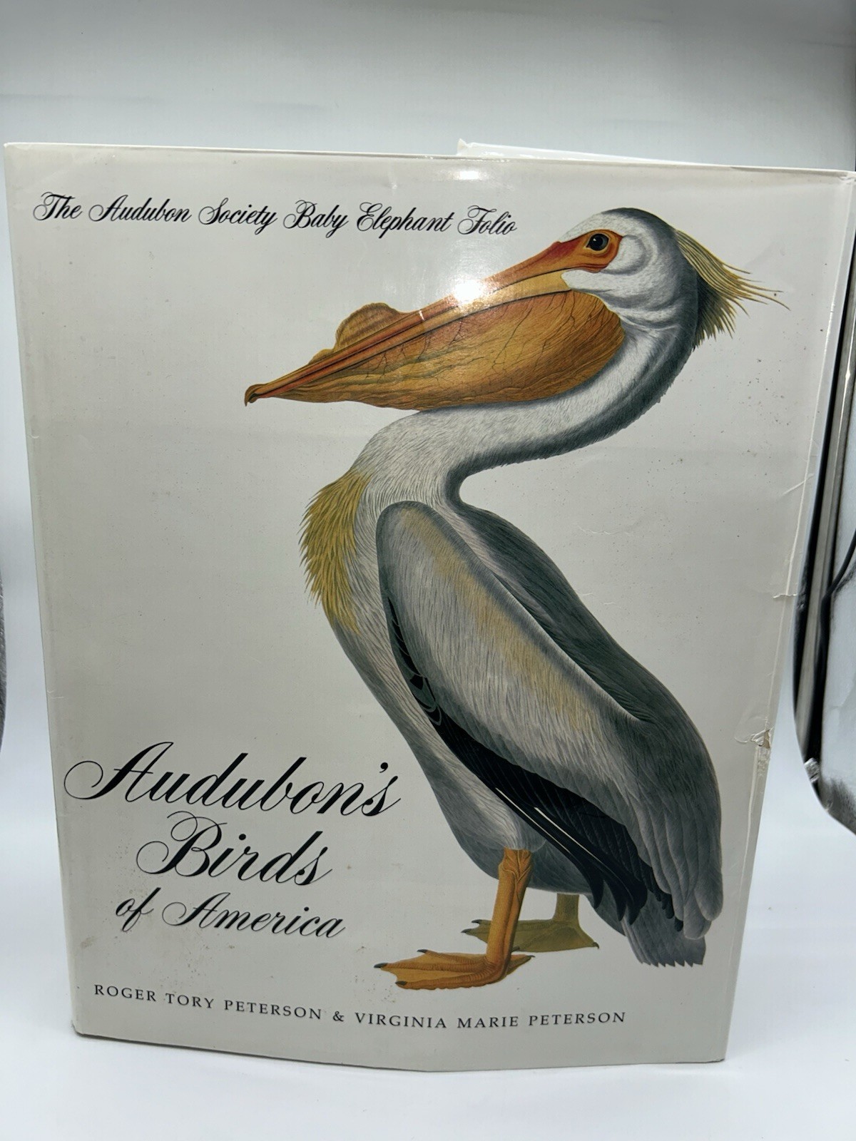 Audubon’s Birds of America Peterson Harrison House Audubon Society 435 Pgs 5B
