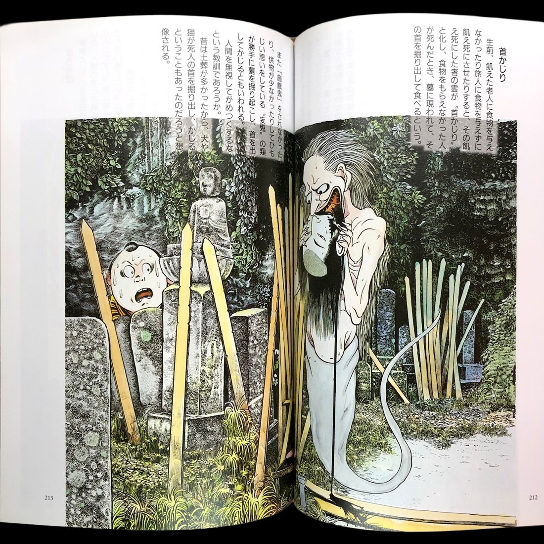 Shigeru Mizuki Yokai Gadan Deluxe Art Book Yokai Monster Illustration 2002