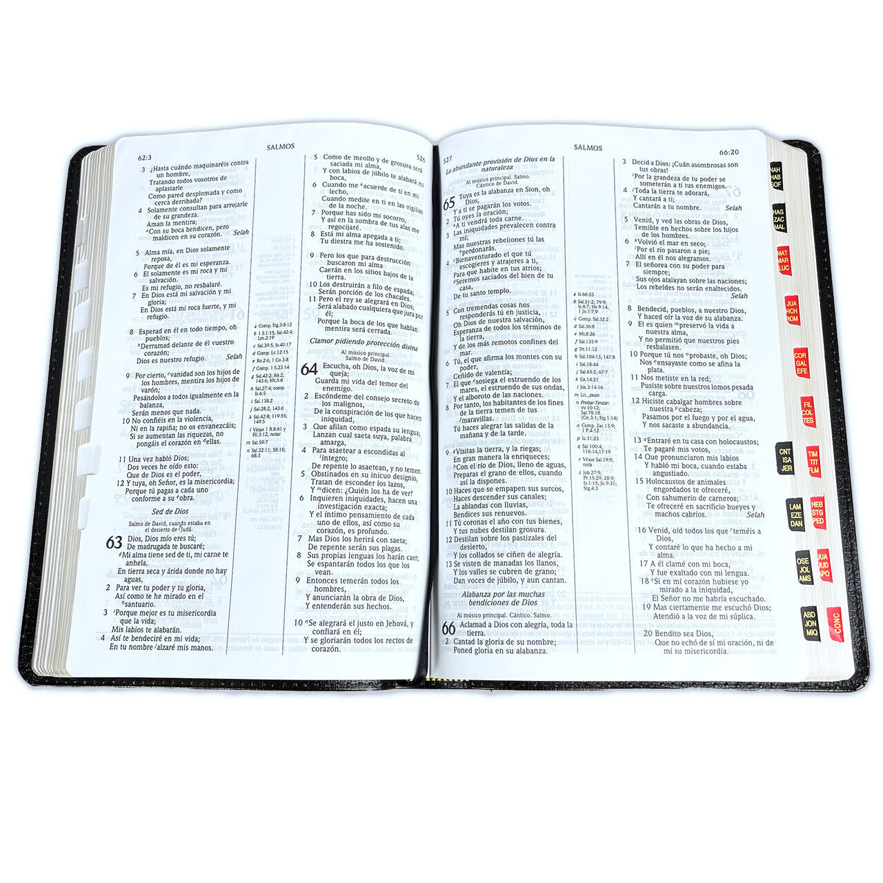 Biblia Scofield de Estudio Pastoral Reina Valera 1960 piel negro con indice