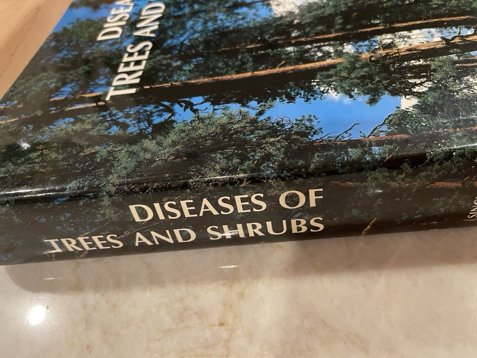 Diseases of Trees And Shrubs By Wayne Sinclair, Howard Lyon, Warren Johnson Book