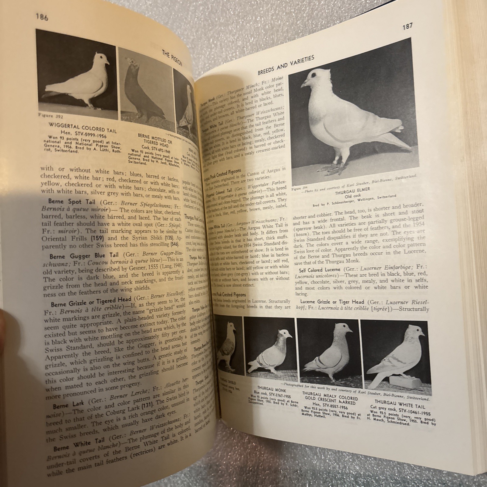 Pigeon by Wendell M. Levi (Hardcover 1998 Reprinted Edition) No DJ