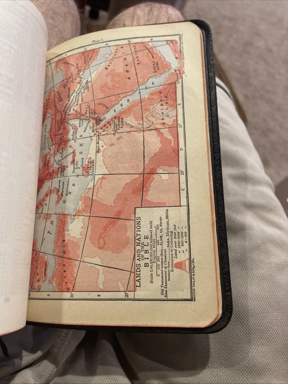 Holy Bible KJV OXFORD Concordance Morocco leather Personal Size #018X