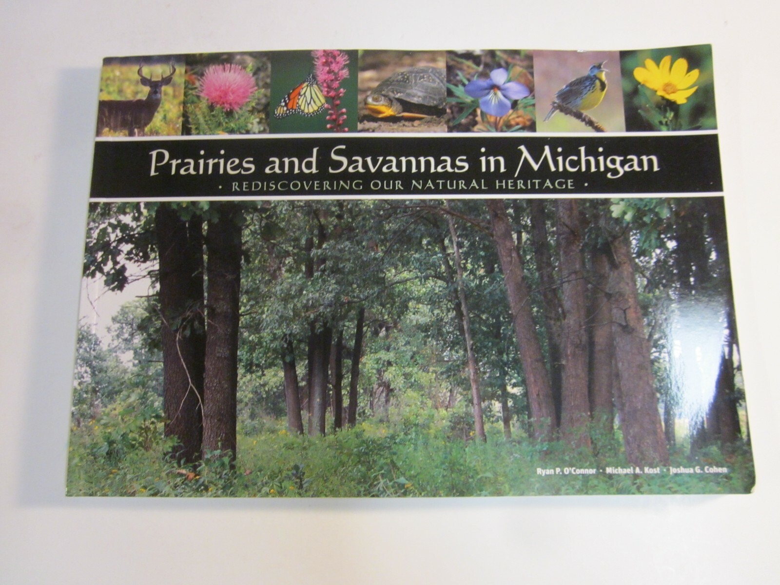 Prairies and Savannas in Michigan : Rediscovering Our Natural Heritage 2009