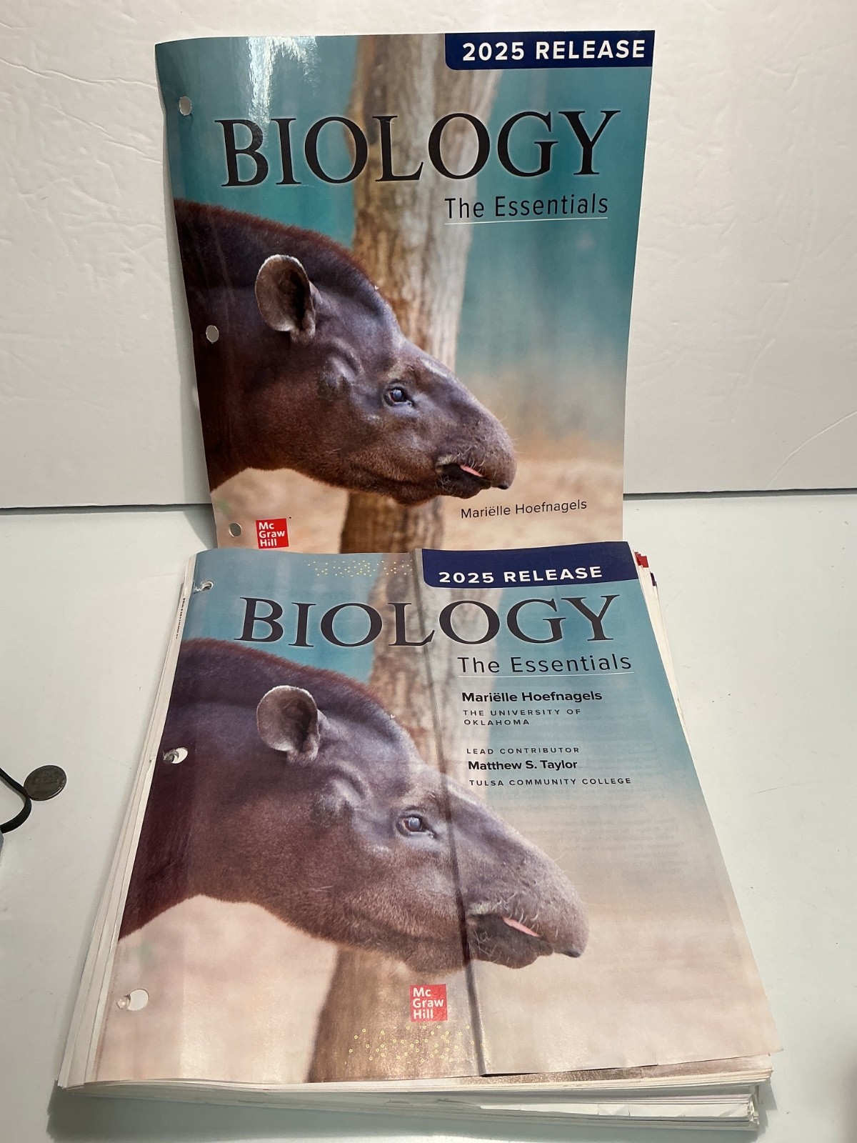 Biology: The Essentials 2025 Release by Marielle Hoefnagels (LOOSE-LEAF)