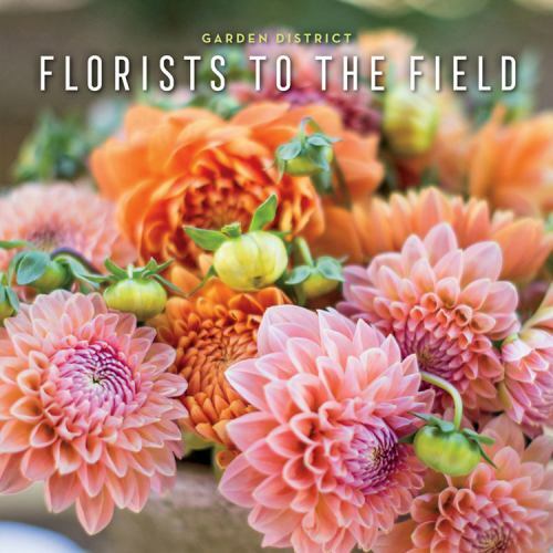 Florists to the Field : Garden District Christian Owen 2018, Hardcover NEW X477