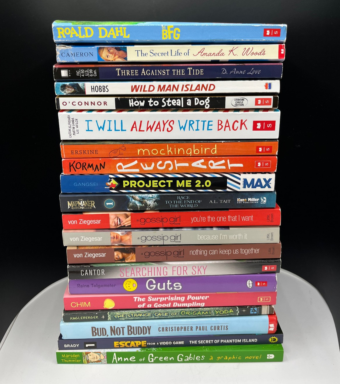 Lot of 20 Children Chapter Books Grades 5 6 7 Instant Library Home School Unisex