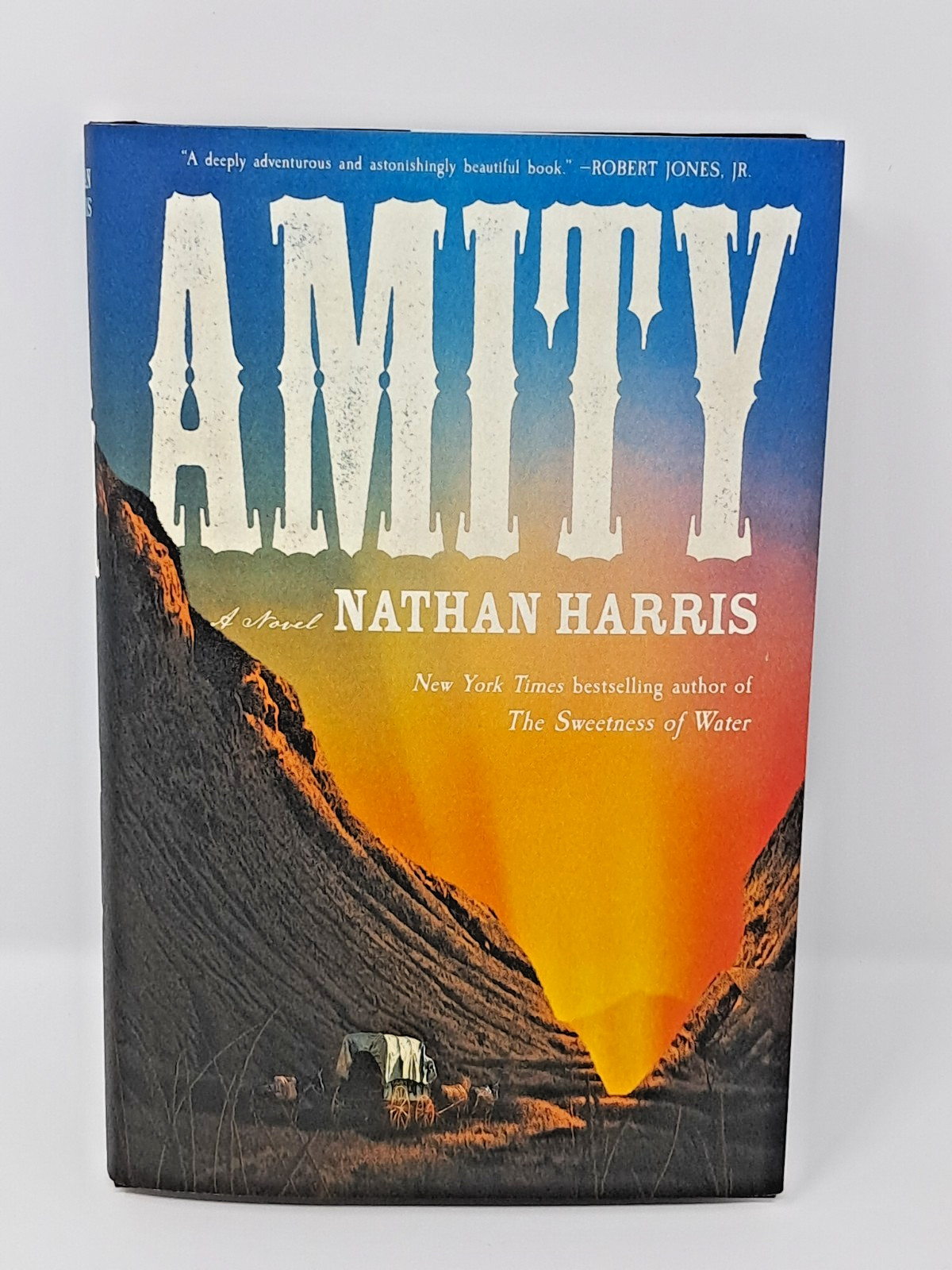 Amity by Nathan Harris (2025, Hardcover) American Historical Fiction novel